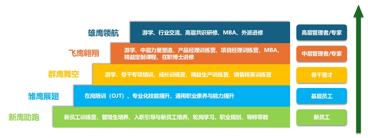 凯发k8国际首页登录培训体系.jpg